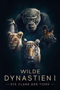 Dynasties - Posters