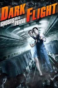 407 Dark Flight - Posters