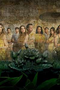 The White Lotus - Posters