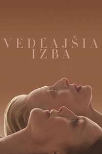 The Room Next Door - Posters