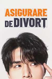 The Divorce Insurance - Posters