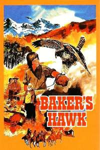 Baker's Hawk - Posters