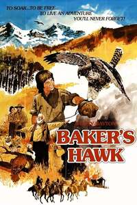 Baker's Hawk - Posters