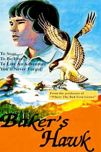 Baker's Hawk - Posters