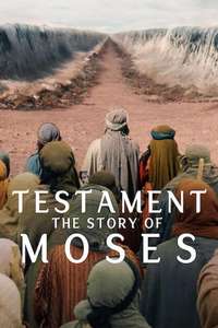 Testament: The Story of Moses - Posters