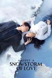 Amidst a Snowstorm of Love