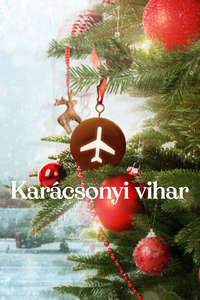 A Storm for Christmas - Posters