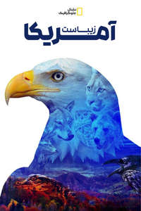 America The Beautiful - Posters