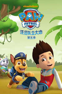 Paw Patrol - Posters