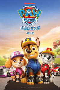 Paw Patrol - Posters