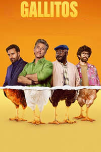 Roosters - Posters