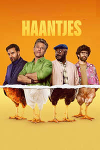 Roosters - Posters