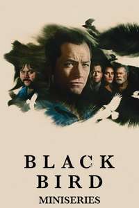 Black Bird - Posters
