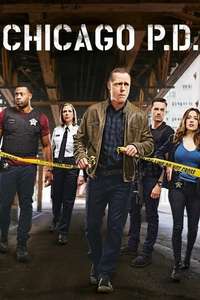 Chicago P.D. - Posters