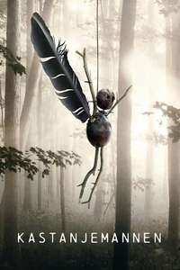The Chestnut Man - Posters