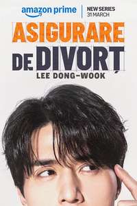 The Divorce Insurance - Posters