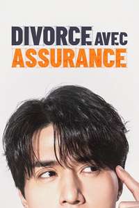 The Divorce Insurance - Posters