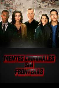 Criminal Minds: Beyond Borders - Posters