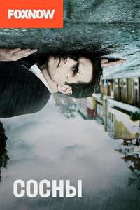 Wayward Pines - Posters