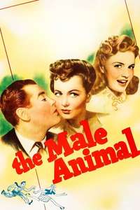 The Male Animal - Posters