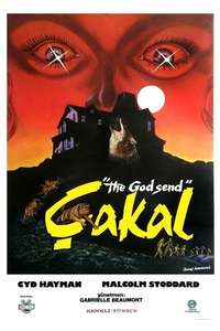 The Godsend - Posters