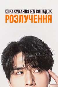 The Divorce Insurance - Posters