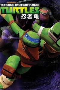 Teenage Mutant Ninja Turtles - Posters