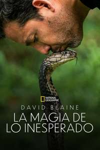 David Blaine Do Not Attempt - Posters