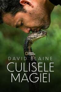 David Blaine Do Not Attempt - Posters