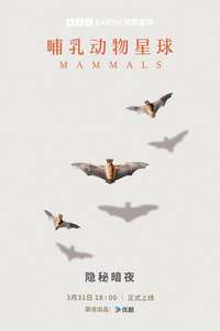 Mammals - Posters