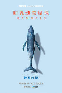 Mammals - Posters
