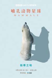 Mammals - Posters