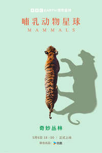 Mammals - Posters