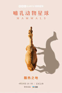 Mammals - Posters