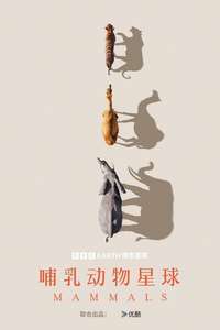 Mammals - Posters