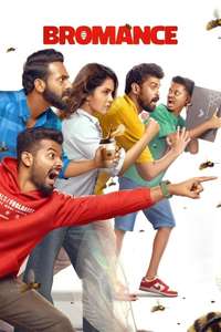 Bromance - Posters