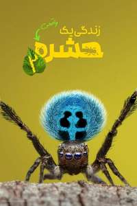 A Real Bug's Life - Posters