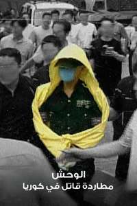 The Raincoat Killer: Chasing a Predator in Korea - Posters