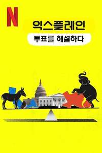 Whose Vote Counts  Explained - Posters