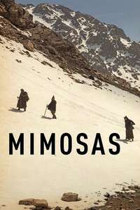 Mimosas - Posters