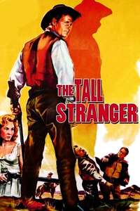 The Tall Stranger - Posters