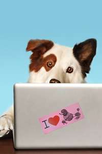 Dog With a Blog - Posters