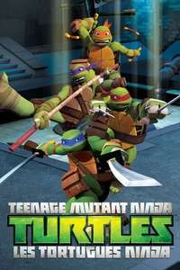 Teenage Mutant Ninja Turtles - Posters