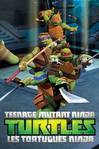 Teenage Mutant Ninja Turtles - Posters