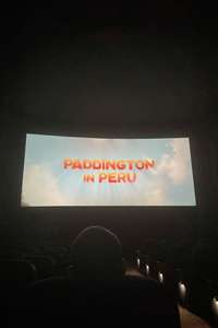 Paddington in Peru - Posters