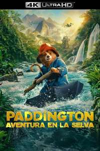 Paddington in Peru - Posters