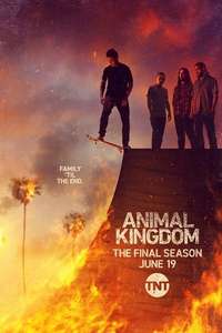 Animal Kingdom - Posters