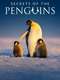 Secrets of the Penguins