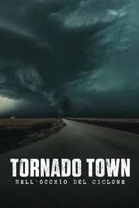 The Twister: Caught in the Storm - Posters