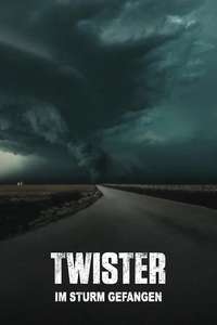 The Twister: Caught in the Storm - Posters